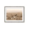 Picture of Spotted in the Savanna  _GroupedProduct_Rectangle_Landscape_Photography _GroupedProduct_Rectangle_Landscape_Framed_Matted_