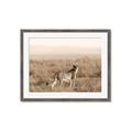 Picture of Spotted in the Savanna  _GroupedProduct_Rectangle_Landscape_Photography _GroupedProduct_Rectangle_Landscape_Framed_Matted_