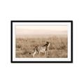 Picture of Spotted in the Savanna  _GroupedProduct_Rectangle_Landscape_Photography _GroupedProduct_Rectangle_Landscape_Framed_Matted_