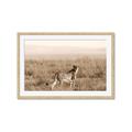 Picture of Spotted in the Savanna  _GroupedProduct_Rectangle_Landscape_Photography _GroupedProduct_Rectangle_Landscape_Framed_Matted_