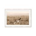 Picture of Spotted in the Savanna  _GroupedProduct_Rectangle_Landscape_Photography _GroupedProduct_Rectangle_Landscape_Framed_Matted_