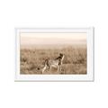 Picture of Spotted in the Savanna  _GroupedProduct_Rectangle_Landscape_Photography _GroupedProduct_Rectangle_Landscape_Framed_Matted_