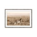 Picture of Spotted in the Savanna  _GroupedProduct_Rectangle_Landscape_Photography _GroupedProduct_Rectangle_Landscape_Framed_Matted_