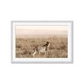 Picture of Spotted in the Savanna  _GroupedProduct_Rectangle_Landscape_Photography _GroupedProduct_Rectangle_Landscape_Framed_Matted_