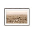 Picture of Spotted in the Savanna  _GroupedProduct_Rectangle_Landscape_Photography _GroupedProduct_Rectangle_Landscape_Framed_Matted_