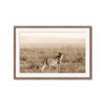 Picture of Spotted in the Savanna  _GroupedProduct_Rectangle_Landscape_Photography _GroupedProduct_Rectangle_Landscape_Framed_Matted_