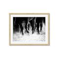 Picture of Stampede _GroupedProduct_Rectangle_Landscape_Photography _GroupedProduct_Rectangle_Landscape_Framed_Matted_