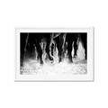 Picture of Stampede _GroupedProduct_Rectangle_Landscape_Photography _GroupedProduct_Rectangle_Landscape_Framed_Matted_