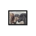 Picture of Untamed Beauties   _GroupedProduct_Rectangle_Landscape_Photography _GroupedProduct_Rectangle_Landscape_Framed_Matted_