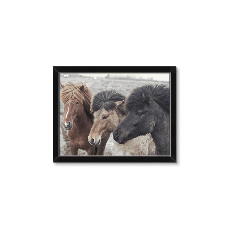 Picture of Untamed Beauties   _GroupedProduct_Rectangle_Landscape_Photography _GroupedProduct_Rectangle_Landscape_Framed_Matted_