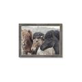 Picture of Untamed Beauties   _GroupedProduct_Rectangle_Landscape_Photography _GroupedProduct_Rectangle_Landscape_Framed_Matted_