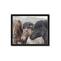 Picture of Untamed Beauties   _GroupedProduct_Rectangle_Landscape_Photography _GroupedProduct_Rectangle_Landscape_Framed_Matted_