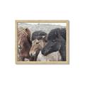Picture of Untamed Beauties   _GroupedProduct_Rectangle_Landscape_Photography _GroupedProduct_Rectangle_Landscape_Framed_Matted_