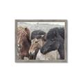 Picture of Untamed Beauties   _GroupedProduct_Rectangle_Landscape_Photography _GroupedProduct_Rectangle_Landscape_Framed_Matted_