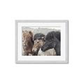 Picture of Untamed Beauties   _GroupedProduct_Rectangle_Landscape_Photography _GroupedProduct_Rectangle_Landscape_Framed_Matted_