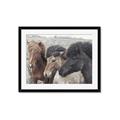 Picture of Untamed Beauties   _GroupedProduct_Rectangle_Landscape_Photography _GroupedProduct_Rectangle_Landscape_Framed_Matted_