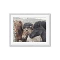 Picture of Untamed Beauties   _GroupedProduct_Rectangle_Landscape_Photography _GroupedProduct_Rectangle_Landscape_Framed_Matted_