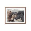 Picture of Untamed Beauties   _GroupedProduct_Rectangle_Landscape_Photography _GroupedProduct_Rectangle_Landscape_Framed_Matted_
