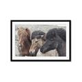 Picture of Untamed Beauties   _GroupedProduct_Rectangle_Landscape_Photography _GroupedProduct_Rectangle_Landscape_Framed_Matted_