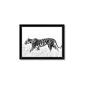 Picture of Tiger Path _GroupedProduct_Rectangle_Landscape_Photography _GroupedProduct_Rectangle_Landscape_Framed_Matted_