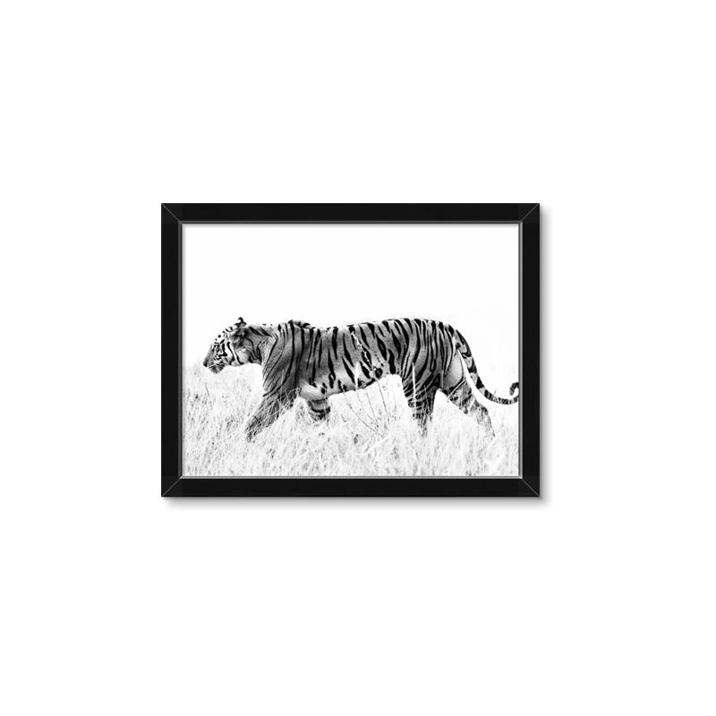 Picture of Tiger Path _GroupedProduct_Rectangle_Landscape_Photography _GroupedProduct_Rectangle_Landscape_Framed_Matted_