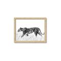 Picture of Tiger Path _GroupedProduct_Rectangle_Landscape_Photography _GroupedProduct_Rectangle_Landscape_Framed_Matted_