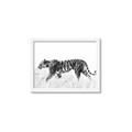 Picture of Tiger Path _GroupedProduct_Rectangle_Landscape_Photography _GroupedProduct_Rectangle_Landscape_Framed_Matted_