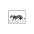 Picture of Tiger Path _GroupedProduct_Rectangle_Landscape_Photography _GroupedProduct_Rectangle_Landscape_Framed_Matted_