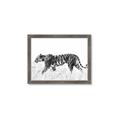 Picture of Tiger Path _GroupedProduct_Rectangle_Landscape_Photography _GroupedProduct_Rectangle_Landscape_Framed_Matted_