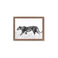Picture of Tiger Path _GroupedProduct_Rectangle_Landscape_Photography _GroupedProduct_Rectangle_Landscape_Framed_Matted_
