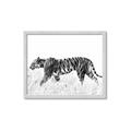 Picture of Tiger Path _GroupedProduct_Rectangle_Landscape_Photography _GroupedProduct_Rectangle_Landscape_Framed_Matted_
