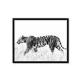Picture of Tiger Path _GroupedProduct_Rectangle_Landscape_Photography _GroupedProduct_Rectangle_Landscape_Framed_Matted_