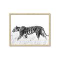 Picture of Tiger Path _GroupedProduct_Rectangle_Landscape_Photography _GroupedProduct_Rectangle_Landscape_Framed_Matted_
