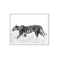 Picture of Tiger Path _GroupedProduct_Rectangle_Landscape_Photography _GroupedProduct_Rectangle_Landscape_Framed_Matted_