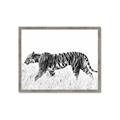 Picture of Tiger Path _GroupedProduct_Rectangle_Landscape_Photography _GroupedProduct_Rectangle_Landscape_Framed_Matted_