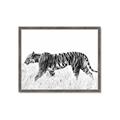 Picture of Tiger Path _GroupedProduct_Rectangle_Landscape_Photography _GroupedProduct_Rectangle_Landscape_Framed_Matted_