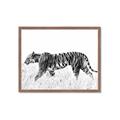 Picture of Tiger Path _GroupedProduct_Rectangle_Landscape_Photography _GroupedProduct_Rectangle_Landscape_Framed_Matted_
