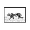 Picture of Tiger Path _GroupedProduct_Rectangle_Landscape_Photography _GroupedProduct_Rectangle_Landscape_Framed_Matted_