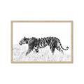 Picture of Tiger Path _GroupedProduct_Rectangle_Landscape_Photography _GroupedProduct_Rectangle_Landscape_Framed_Matted_