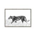Picture of Tiger Path _GroupedProduct_Rectangle_Landscape_Photography _GroupedProduct_Rectangle_Landscape_Framed_Matted_