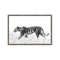 Picture of Tiger Path _GroupedProduct_Rectangle_Landscape_Photography _GroupedProduct_Rectangle_Landscape_Framed_Matted_