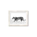 Picture of Tiger Path _GroupedProduct_Rectangle_Landscape_Photography _GroupedProduct_Rectangle_Landscape_Framed_Matted_