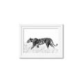Picture of Tiger Path _GroupedProduct_Rectangle_Landscape_Photography _GroupedProduct_Rectangle_Landscape_Framed_Matted_