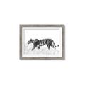 Picture of Tiger Path _GroupedProduct_Rectangle_Landscape_Photography _GroupedProduct_Rectangle_Landscape_Framed_Matted_