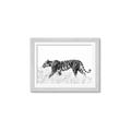 Picture of Tiger Path _GroupedProduct_Rectangle_Landscape_Photography _GroupedProduct_Rectangle_Landscape_Framed_Matted_