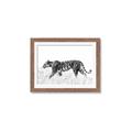 Picture of Tiger Path _GroupedProduct_Rectangle_Landscape_Photography _GroupedProduct_Rectangle_Landscape_Framed_Matted_