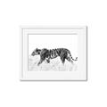 Picture of Tiger Path _GroupedProduct_Rectangle_Landscape_Photography _GroupedProduct_Rectangle_Landscape_Framed_Matted_