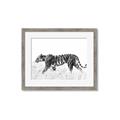 Picture of Tiger Path _GroupedProduct_Rectangle_Landscape_Photography _GroupedProduct_Rectangle_Landscape_Framed_Matted_
