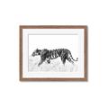 Picture of Tiger Path _GroupedProduct_Rectangle_Landscape_Photography _GroupedProduct_Rectangle_Landscape_Framed_Matted_