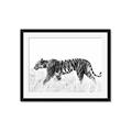Picture of Tiger Path _GroupedProduct_Rectangle_Landscape_Photography _GroupedProduct_Rectangle_Landscape_Framed_Matted_